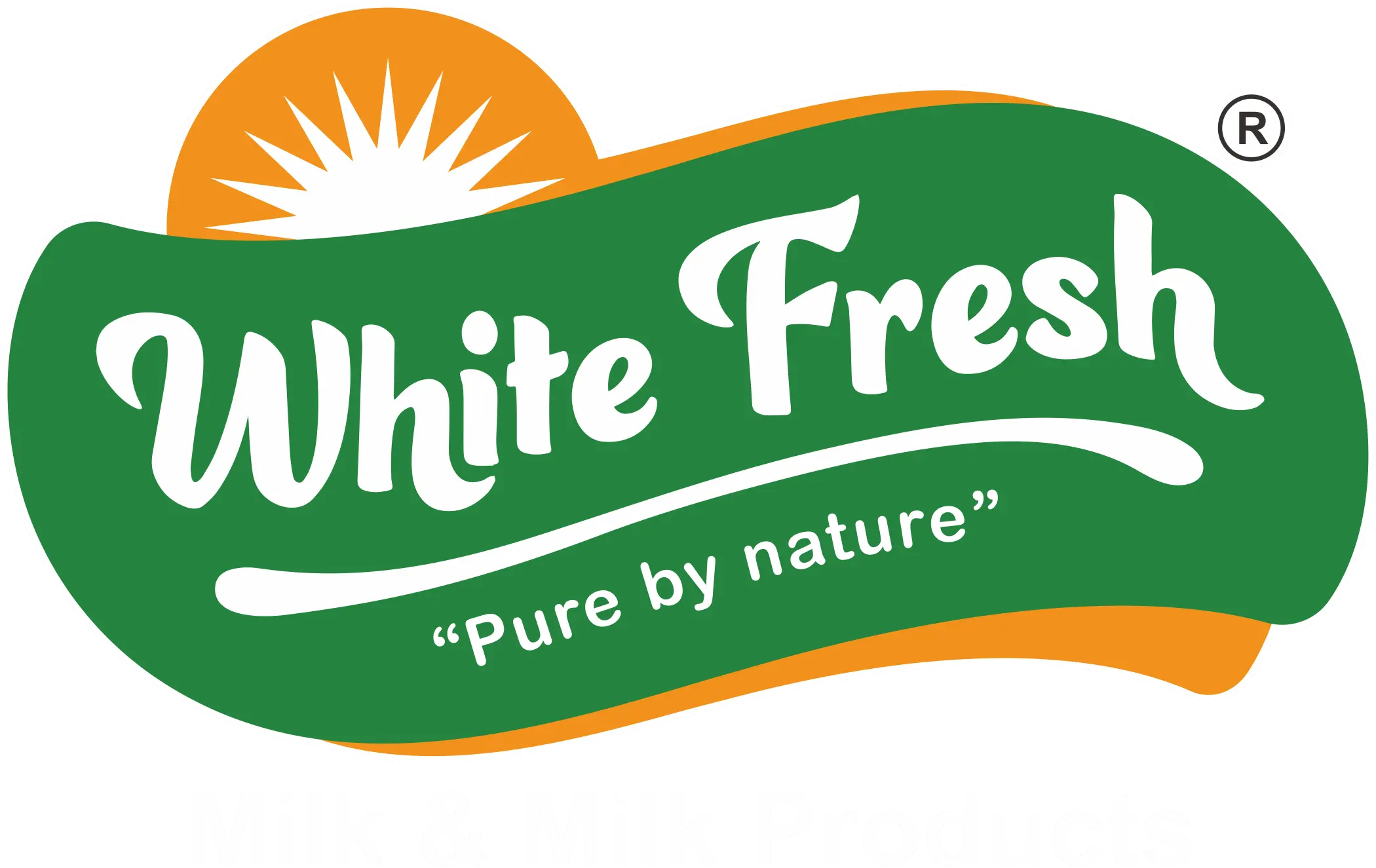 Website development company in India