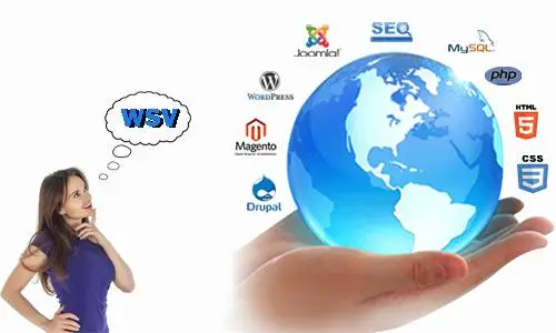 Best Website Development Company in India