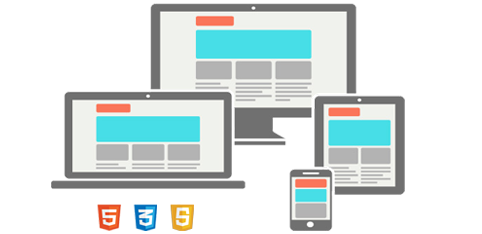 SEO company in bhopal